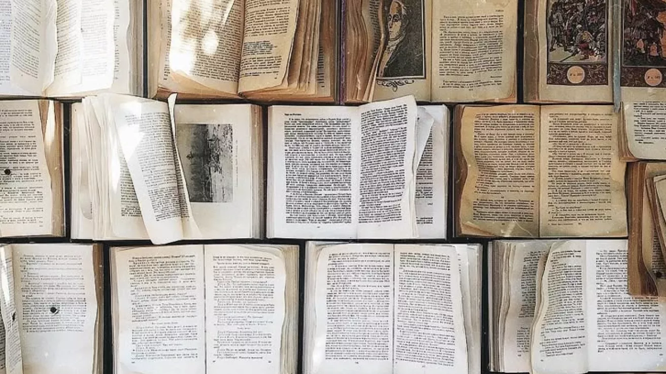 llibres