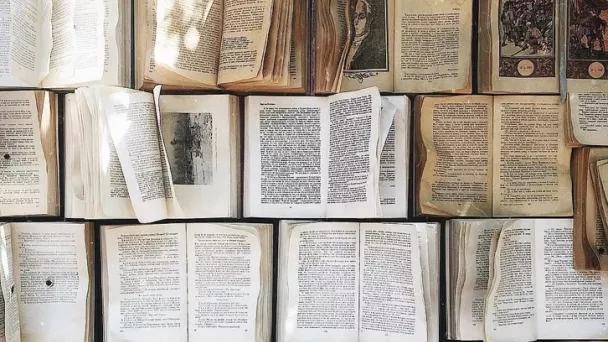 llibres
